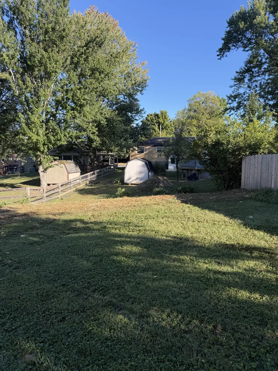 Opened backyard after forestry mulching and brush clearing in Alexandria Kentucky