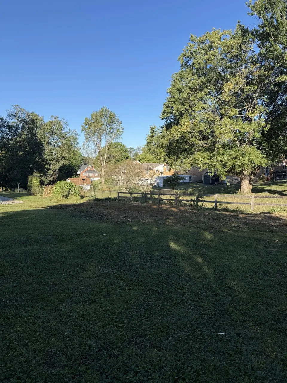 Cleared residential property after forestry mulching in Alexandria Kentucky