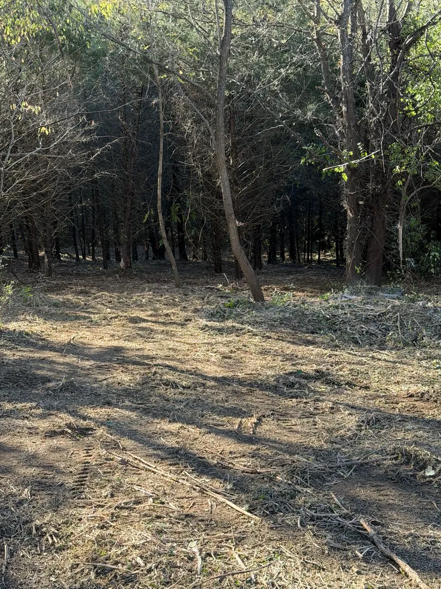 Improved sight lines after Pendleton County forestry mulching project