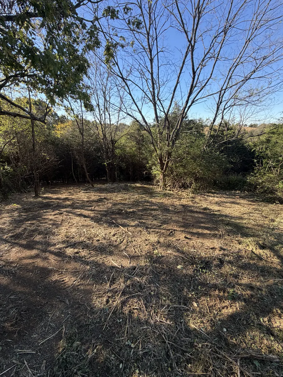 Cleared hillside after Pendleton County land clearing project